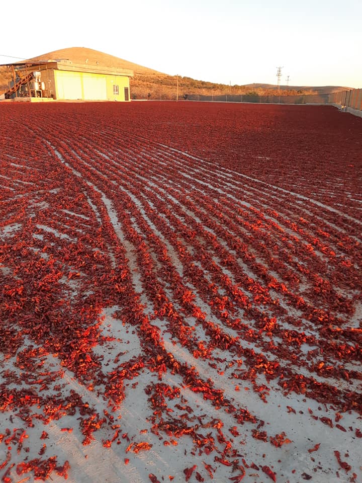 gap-tas-bereket-isot-bozova-sanliurfa (10)